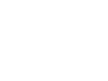 Mister Transmission